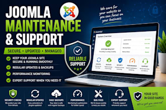 maintain, manage and support your joomla website professionally