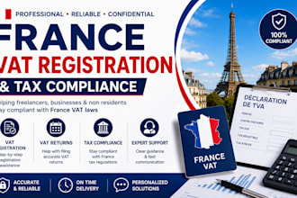 assist with france vat registration vat return and tax compliance