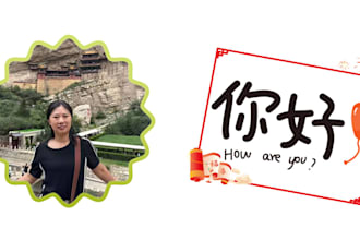 provide you with native chinese lessons