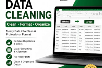do excel data cleaning,formatting and data analysis