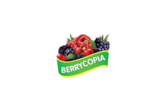 design canadian dried berries snack company logo