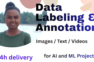 annotate images and text data for ai accurately