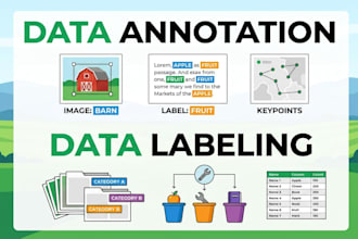 do high quality data annotation and data labeling