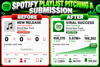 do professional spotify music pitching, on proper spotify playlist genres