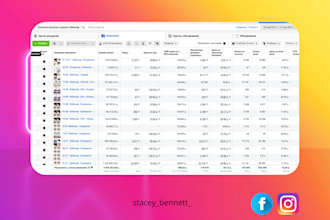 generate high quality leads with facebook  instagram ads