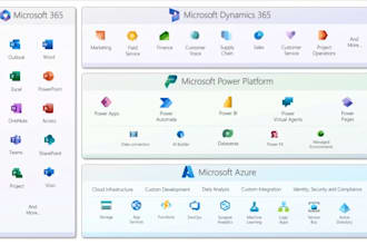 do something I am really great as dynamics 365 ce CRM consultant