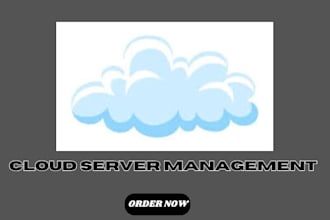 provide and do 24x7 cloud server management