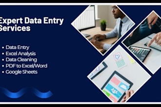 do professional data entry and ms office tasks for you