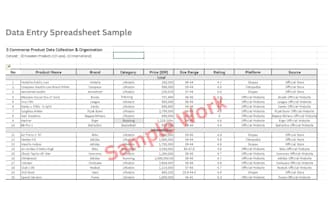do accurate data entry and excel spreadsheet work