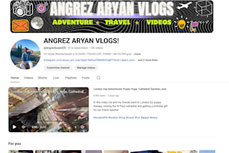 make you a instagram and yotube roadmap to increase reach