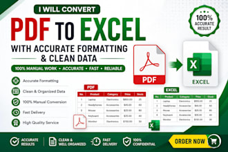 convert PDF to excel manually with accurate formatting