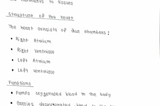create neat handwritten notes
