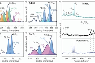 create scientific plots, schemes, and publication graphics
