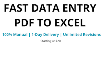 do fast and accurate excel word PDF data entry