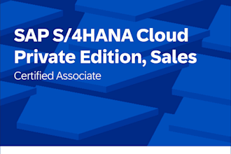 be your sap sd consultant