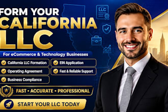 form your california llc for ecommerce and technology businesses