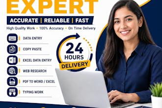 data entry expert 24 hours delivery