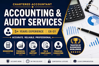 provide accounting, audit, bookkeeping and financial reporting services
