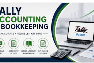 do tally accounting, gst return and bookkeeping