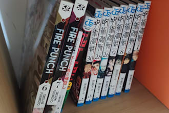 translate untranslated manga or comics for you