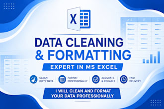 clean, organize, and format your excel data professionally