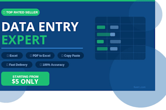 do fast and accurate data entry work starting at 5 dollars