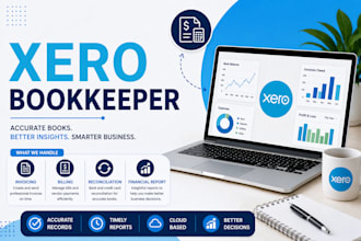 do expert xero bookkeeping