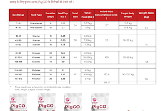 build high converting product catalogue and promotional flyers