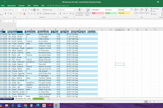 do excel data entry and data organized