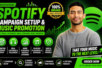 setup spotify campaign spotify promotion music promotion for spotify track