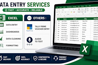 do excel data entry, professional excel dashboard, sorting and formatting