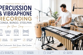 record percussion and vibraphone congo bongo  steelpan drum for your song
