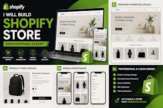do professional work on shopify website