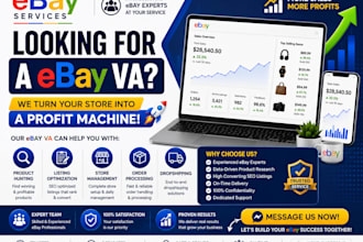 ebay store management with proven stratgies