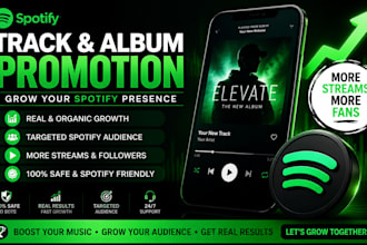 do spotify track promotion spotify album music spotify artist profile growth