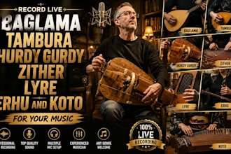 record live baglama tambura hurdy gurdy zither lyre erhu and koto for your music