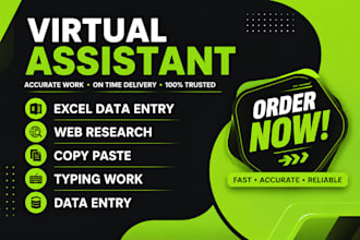do accurate data entry, excel work, typing work and PDF to word conversion