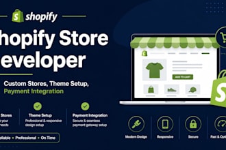 build a professional shopify store for your business