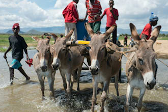 write an african travel and wellness article