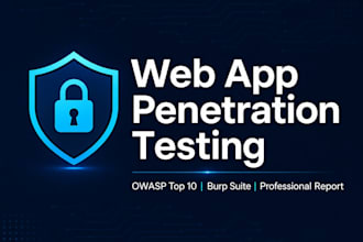 perform a web application pentest and deliver a professional security