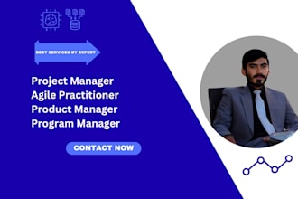 be you expert IT and software project manager to deliver projects on time