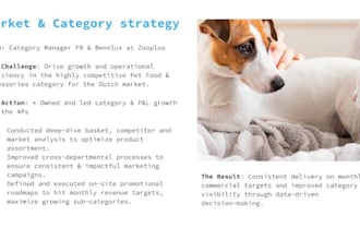 be your strategic pmo for business transformation