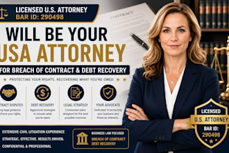 be your US business attorney for contract disputes and debt recovery