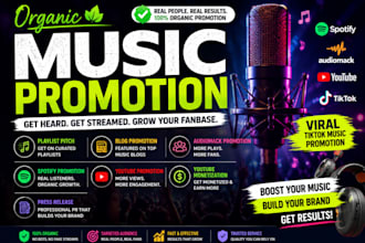 organic music promotion playlist pitch promote music to blog spotify audiomack