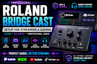 setup roland bridge cast with obs discord and stream audio routing