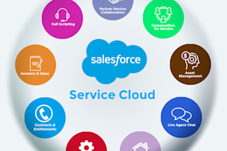 do salesforce service cloud setup, case management and automation