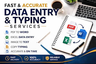 do fast and accurate data entry, excel, copy paste work