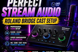 setup roland bridge cast with obs for pro streaming audio