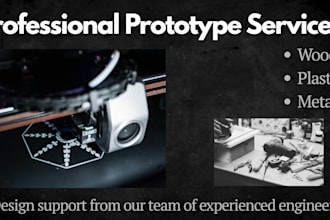 build a professional prototype for you