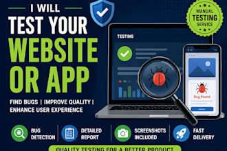 test your website and find bugs professionally